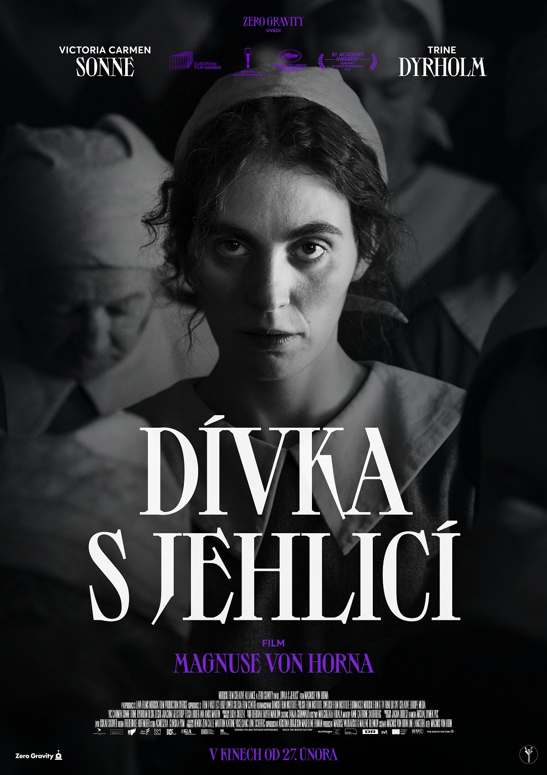 Dívka s jehlicí poster