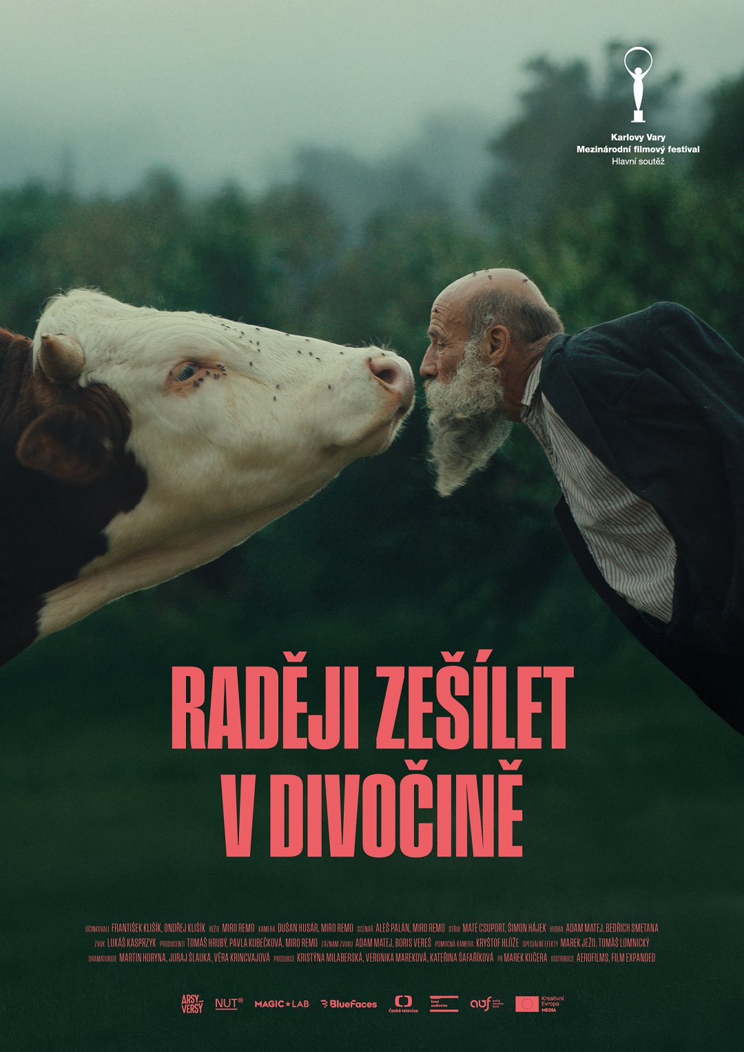 Raději zešílet v divočině poster