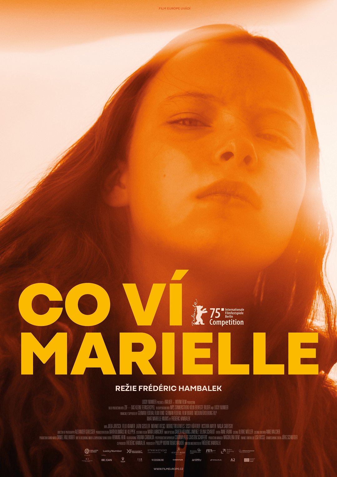 Co ví Marielle poster