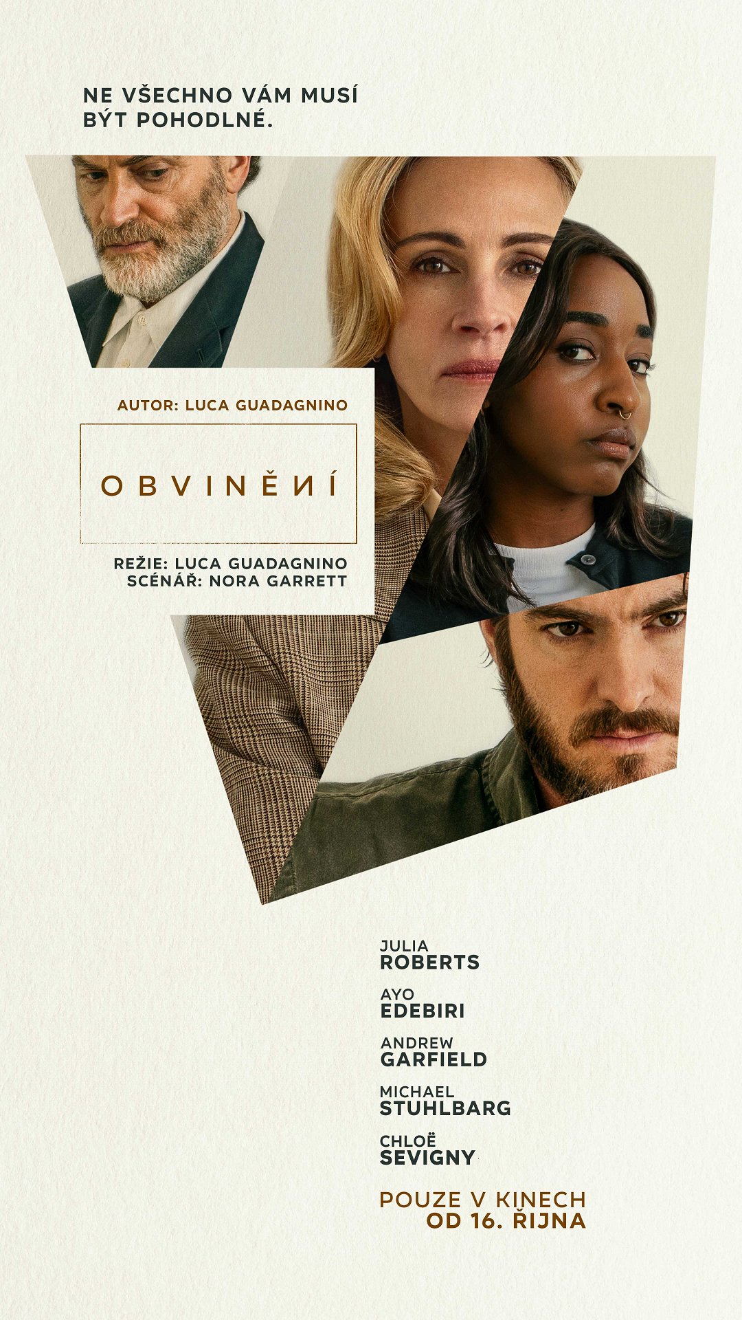 Obvinění poster