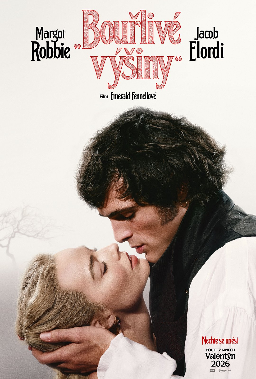 Bouřlivé výšiny poster