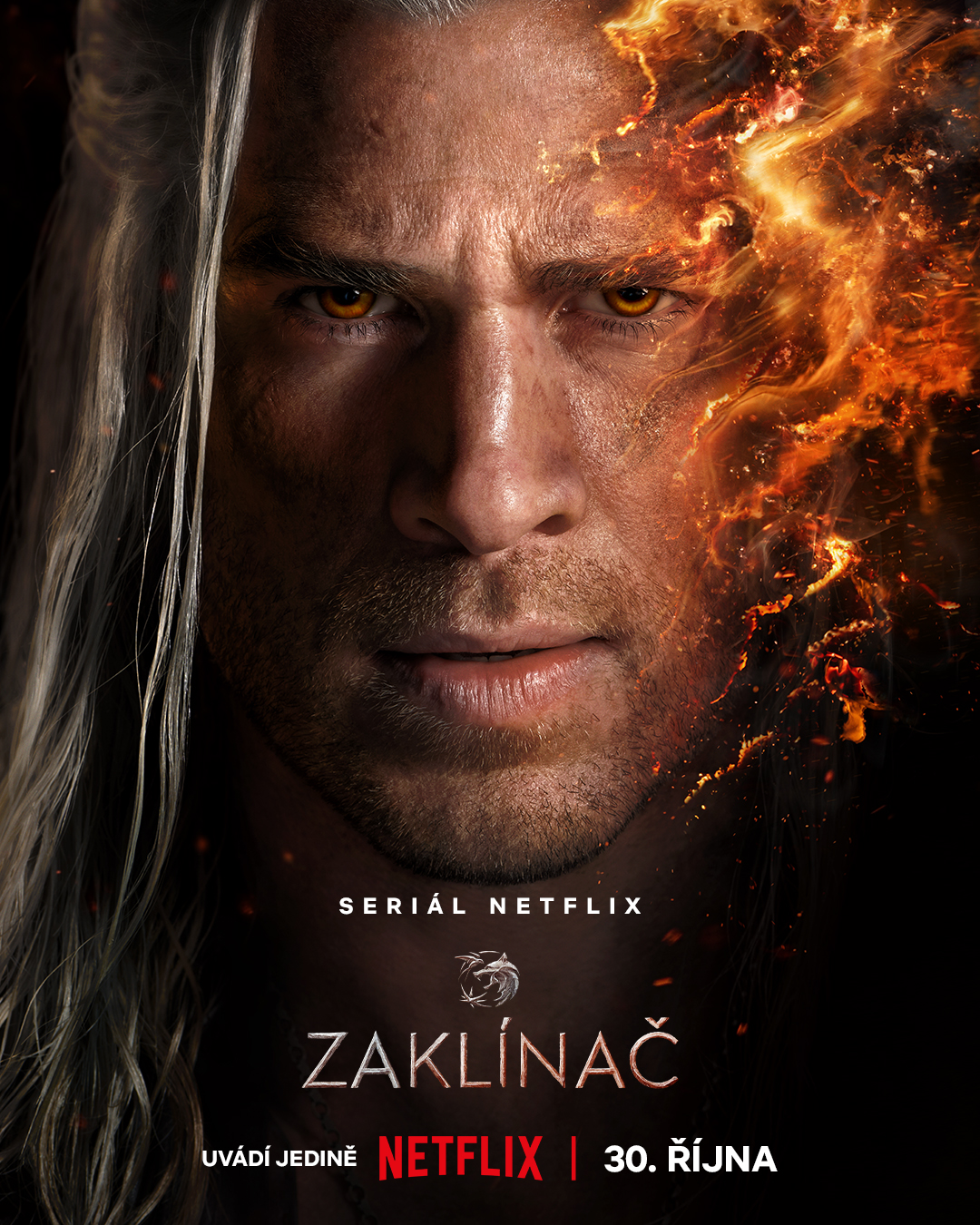 Zaklínač poster