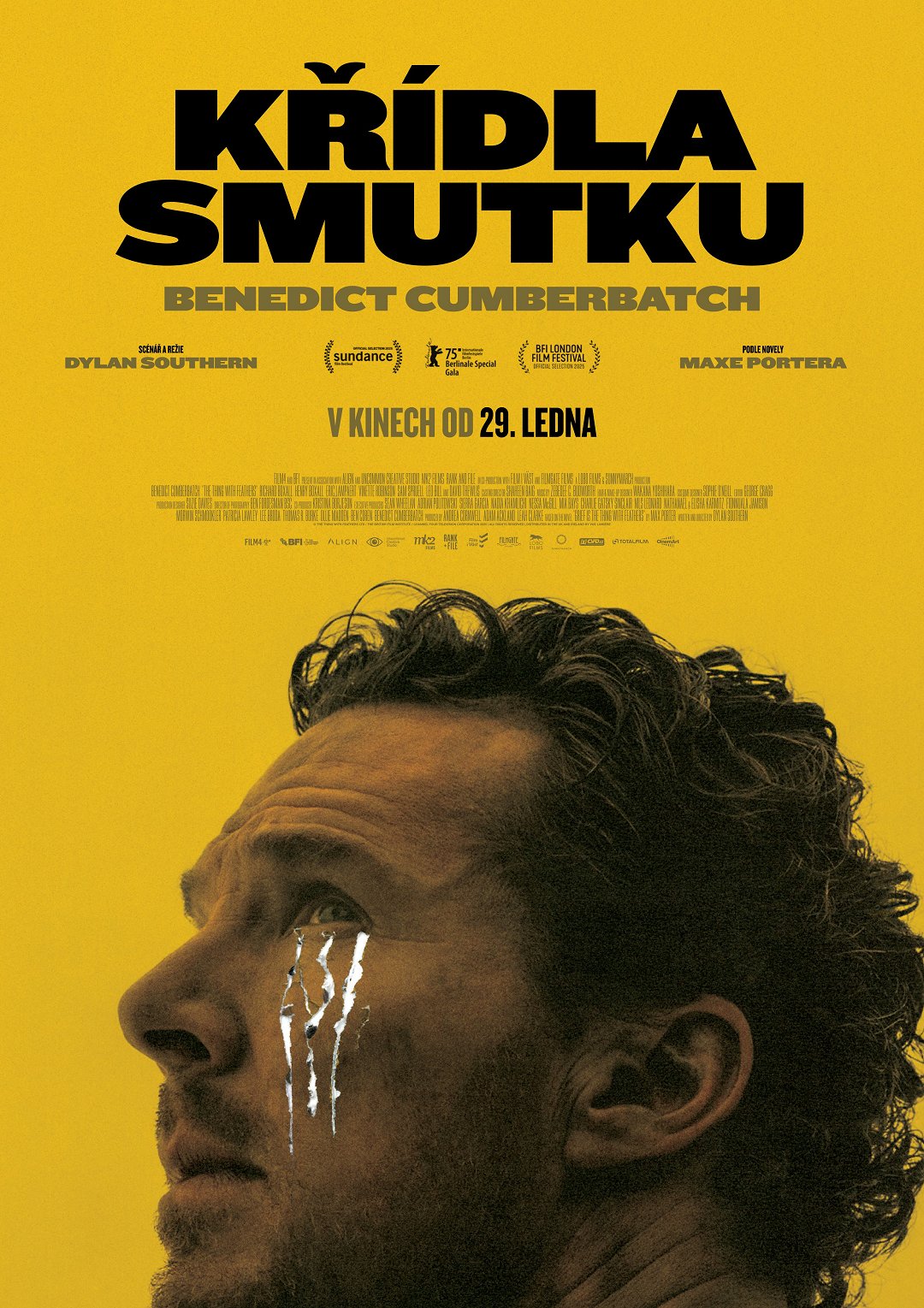 Křídla smutku poster