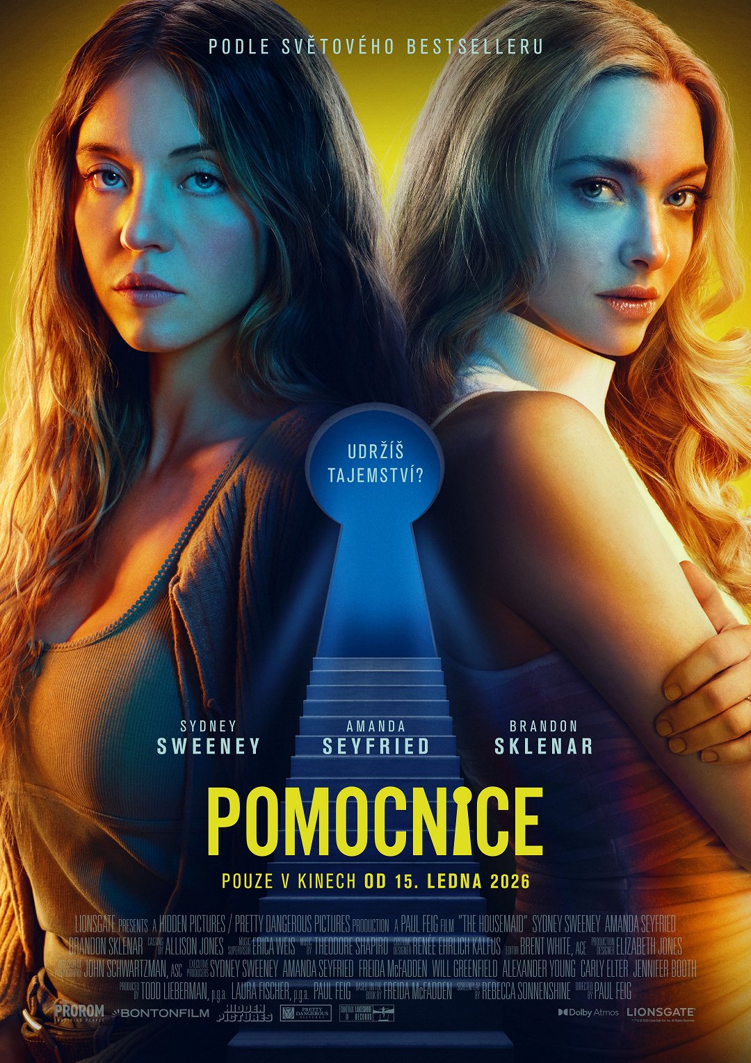 Pomocnice poster