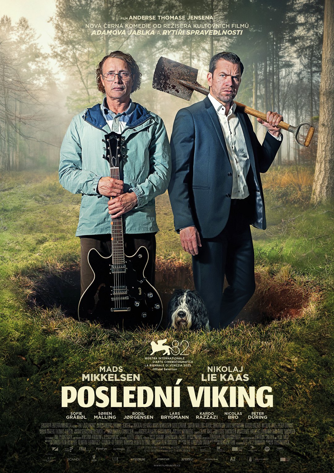 Poslední Viking poster