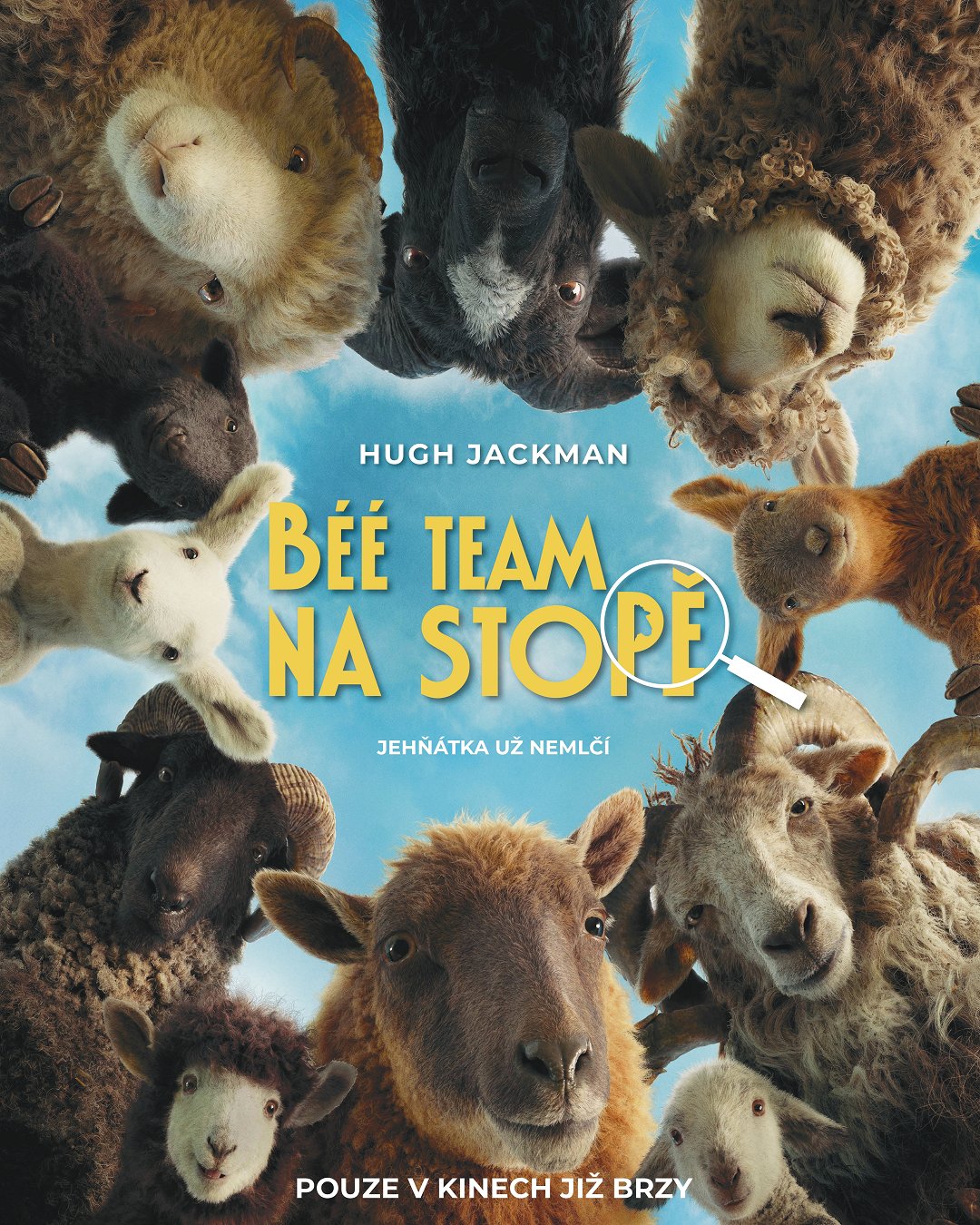Béé team na stopě poster