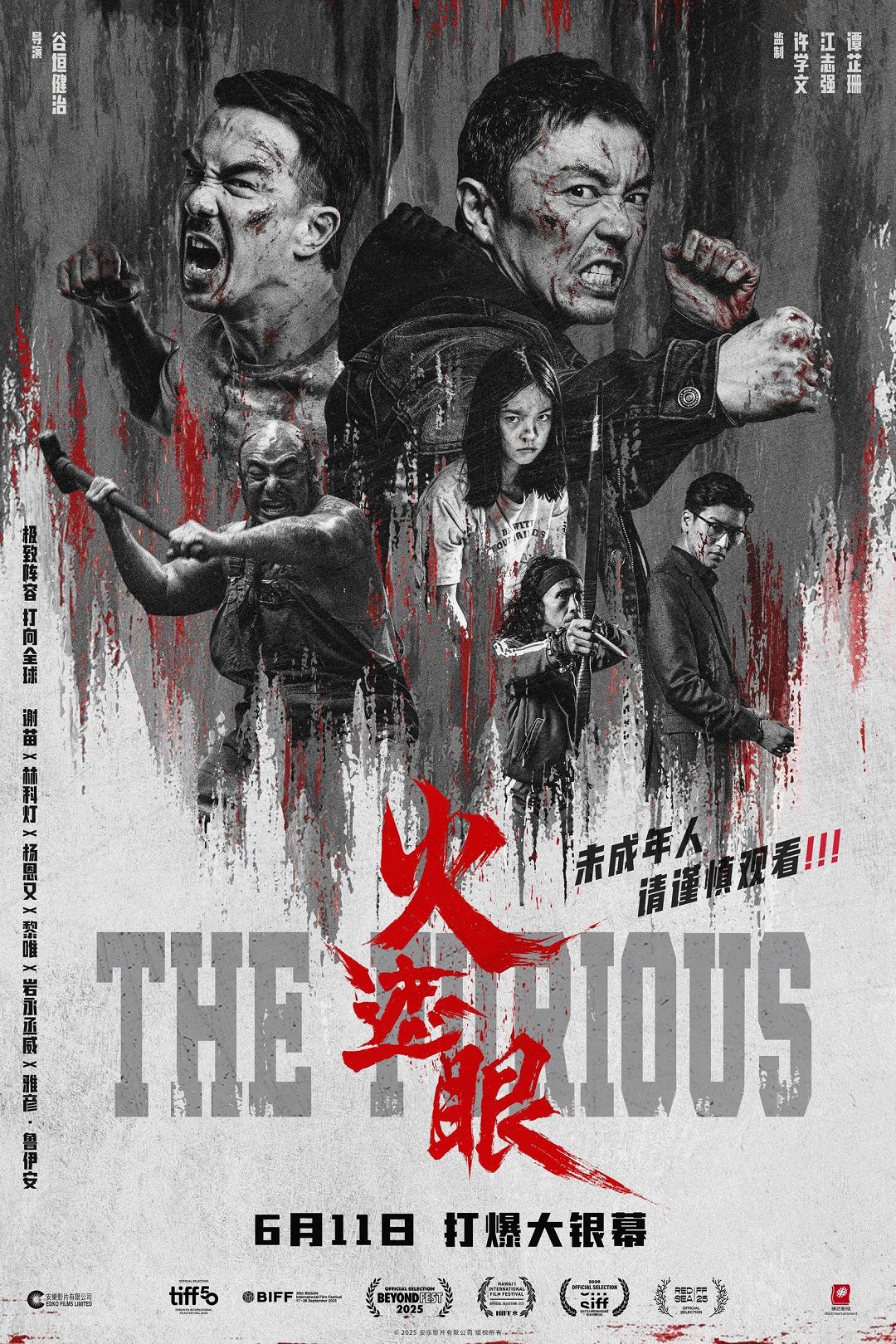The Furious poster