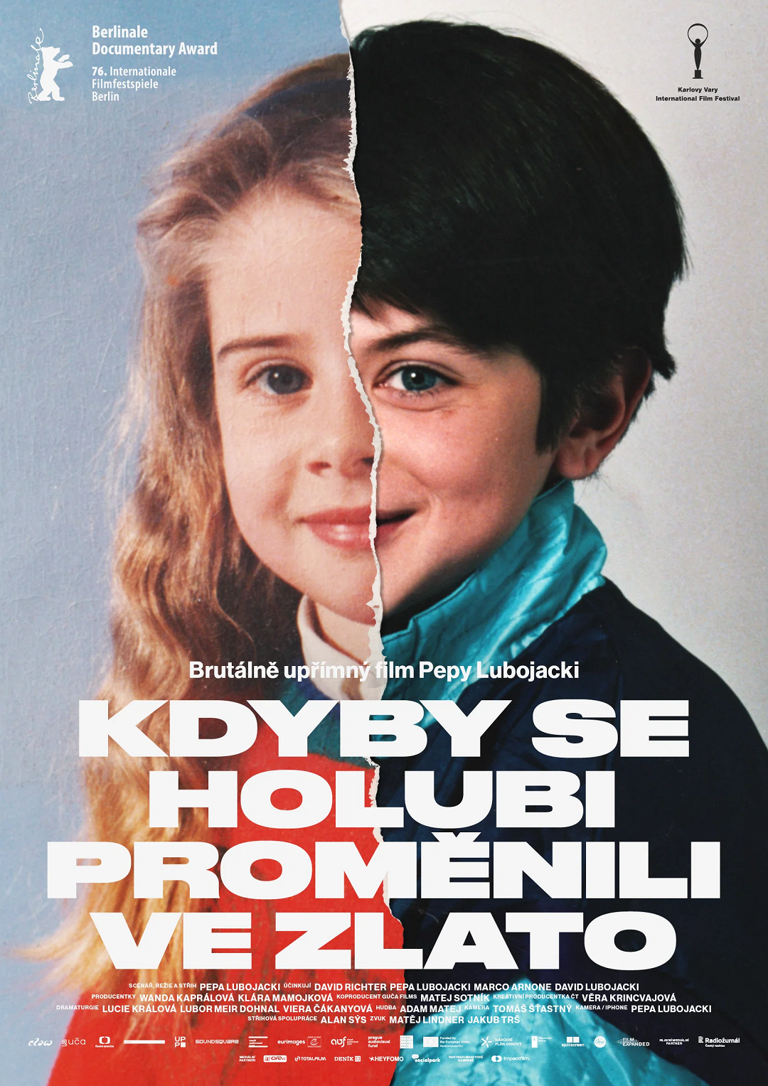 Kdyby se holubi proměnili ve zlato poster