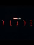 Blade přišel na poslední chvíli o režiséra