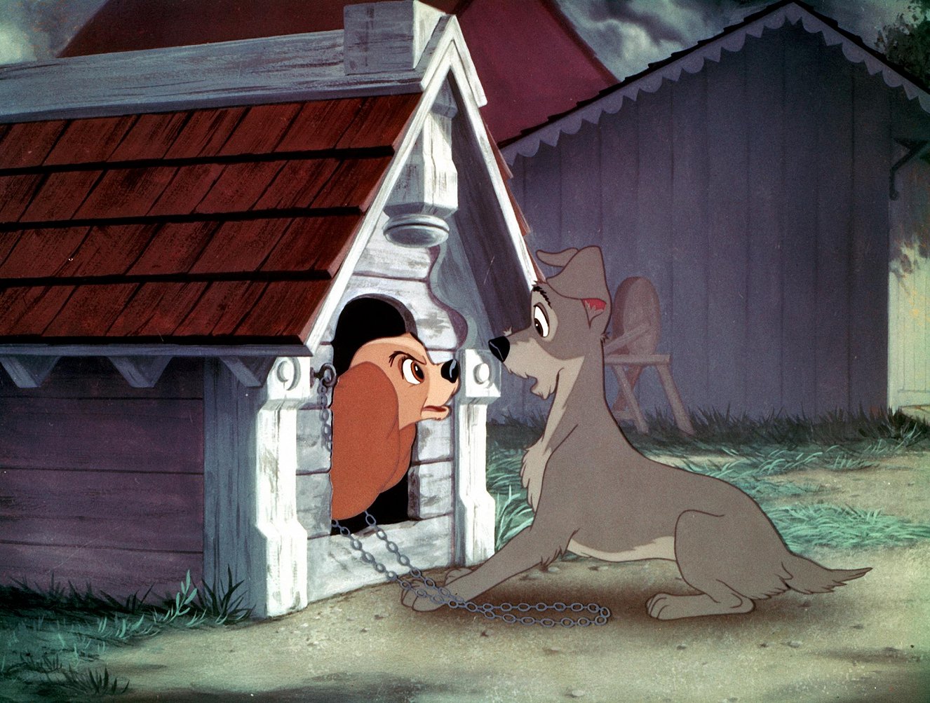 Lady A Tramp 1955 Galerie Z Filmu Čsfdcz