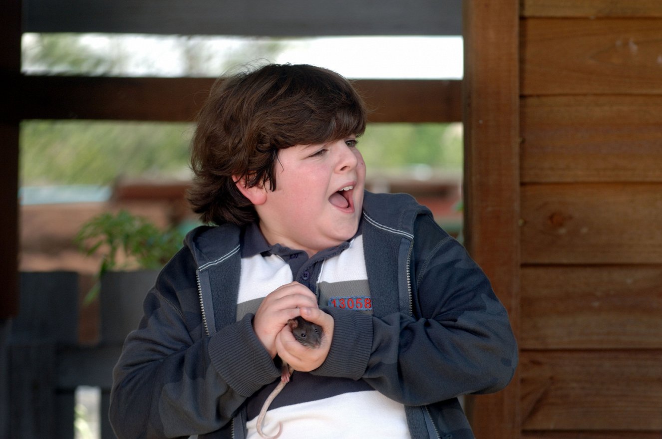 Джош флиттер эйс вентура. Эйс вентура младший. Джош флиттер эйс вентура. Сын эйса вентуры. Эйс вентура младший.