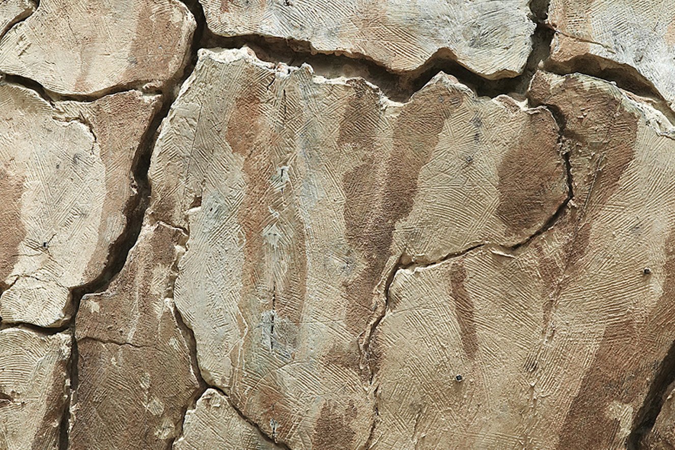 161083072_dbb897.jpg