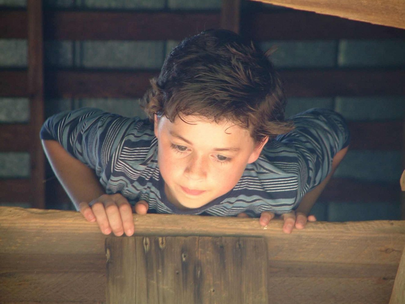 Sugar Creek Gang 4 (2005) Galerie Z filmu ČSFD.cz