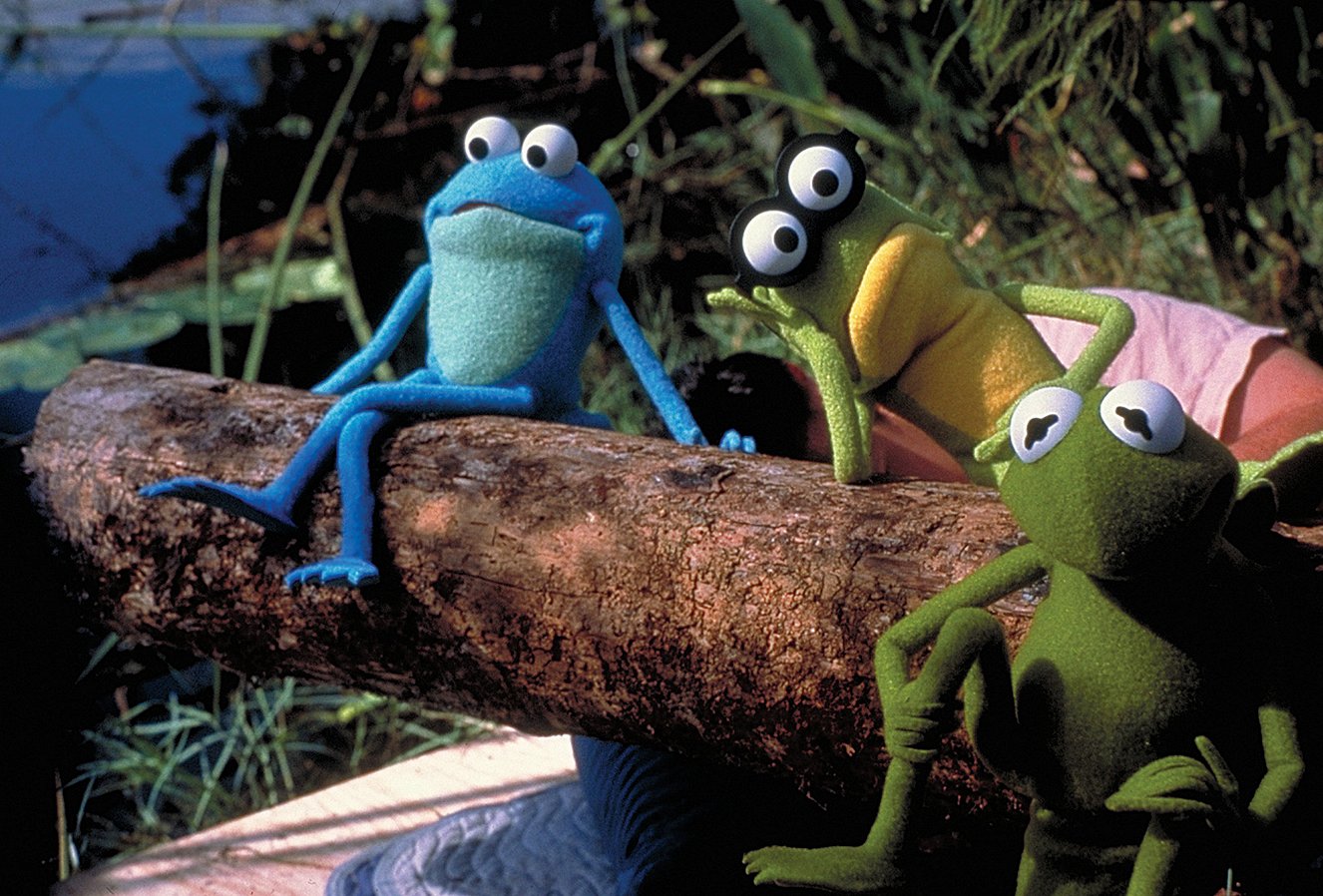 Kermit's Swamp Years (2002) Galerie Z filmu ČSFD.cz