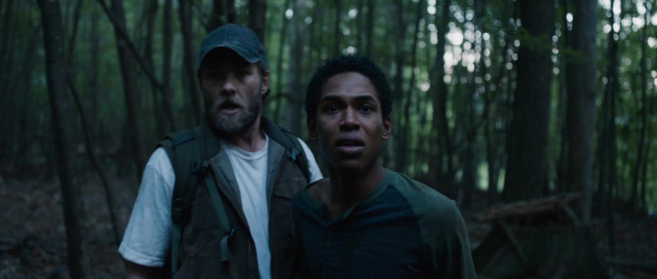 выживешь ли ночь