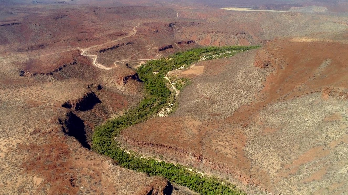 Oázy: Květy pouště (2021) | ČSFD.cz