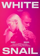 Bílý šnek