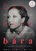 Poster: Bára Basiková