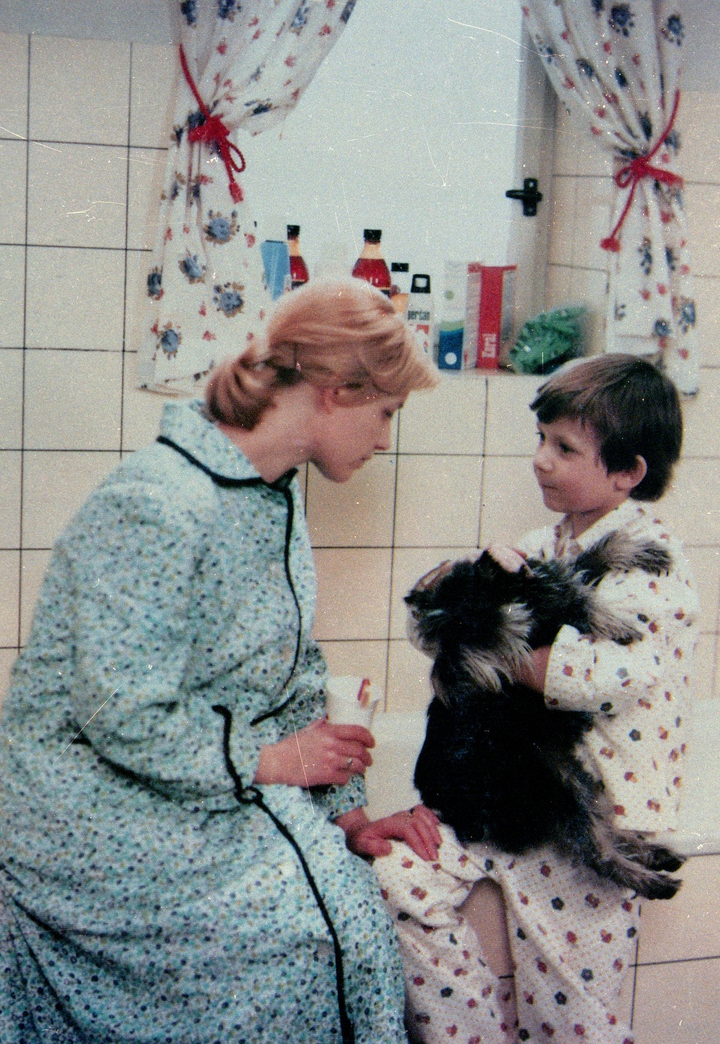 томаш холы актер. как вырвать зуб у кита. как вырвать зуб у кита 1977. дорога к китам фильм 2019. чешский фильм как вырвать зуб у кита.