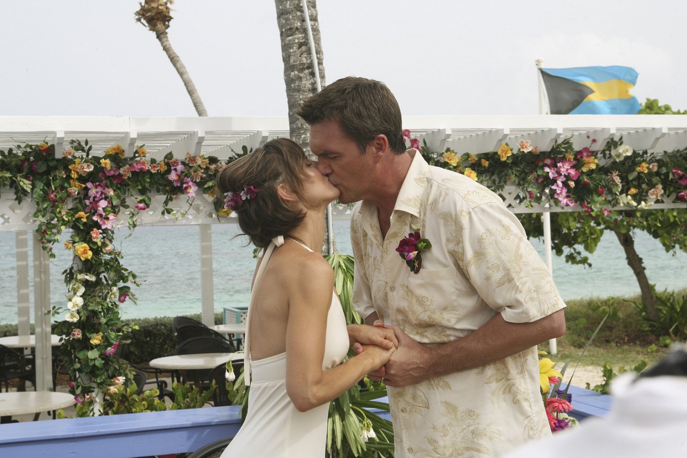 Kit Pongetti ČSFD.cz