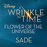 A Wrinkle in Time