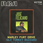 Marley Purt Drive / Old Turkey Buzzard