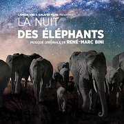 La Nuit des Elephants