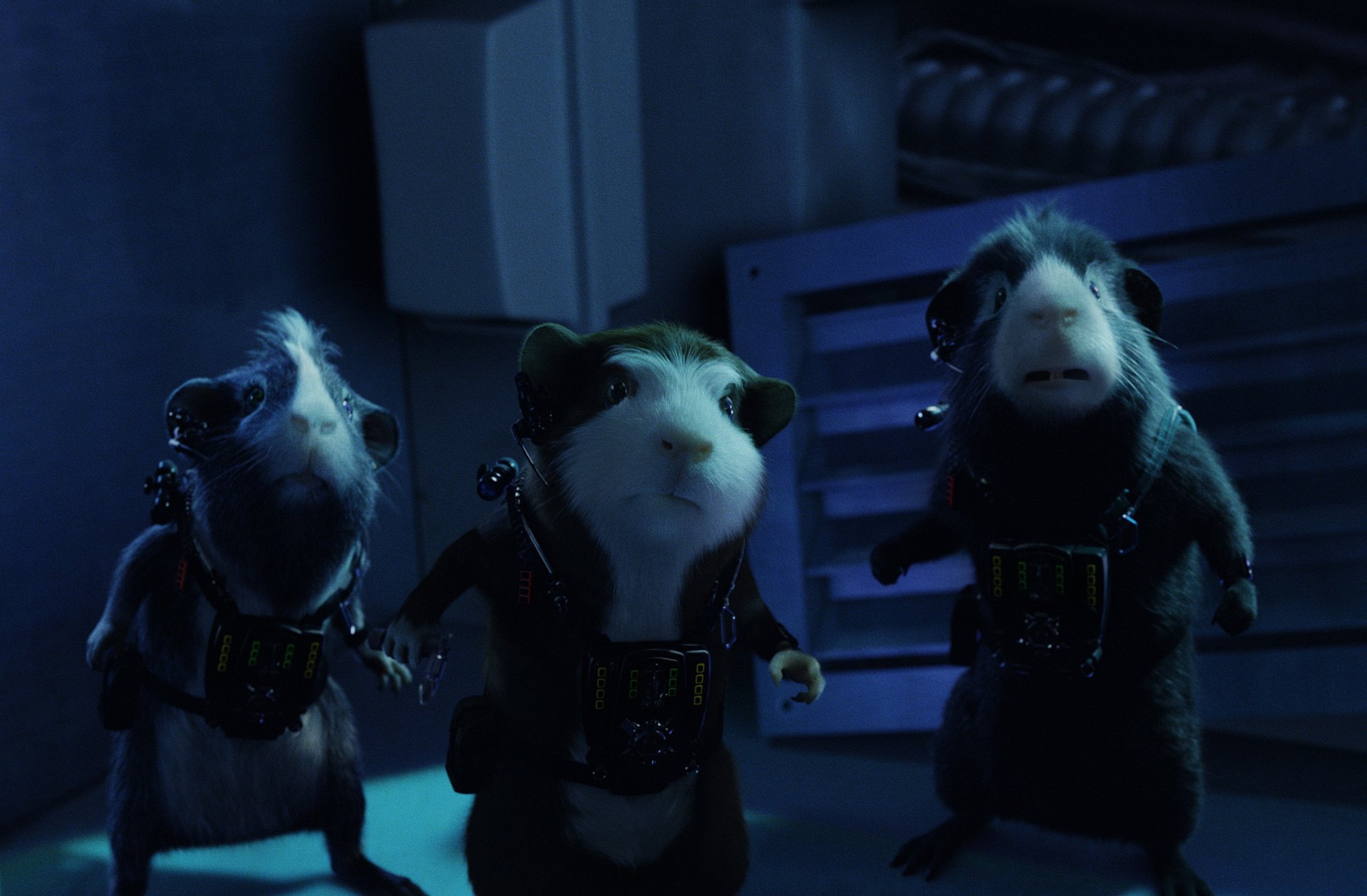 фильм про морских свинок миссия дарвина. G force. G force. миссия дарвина мультфильм 2009.