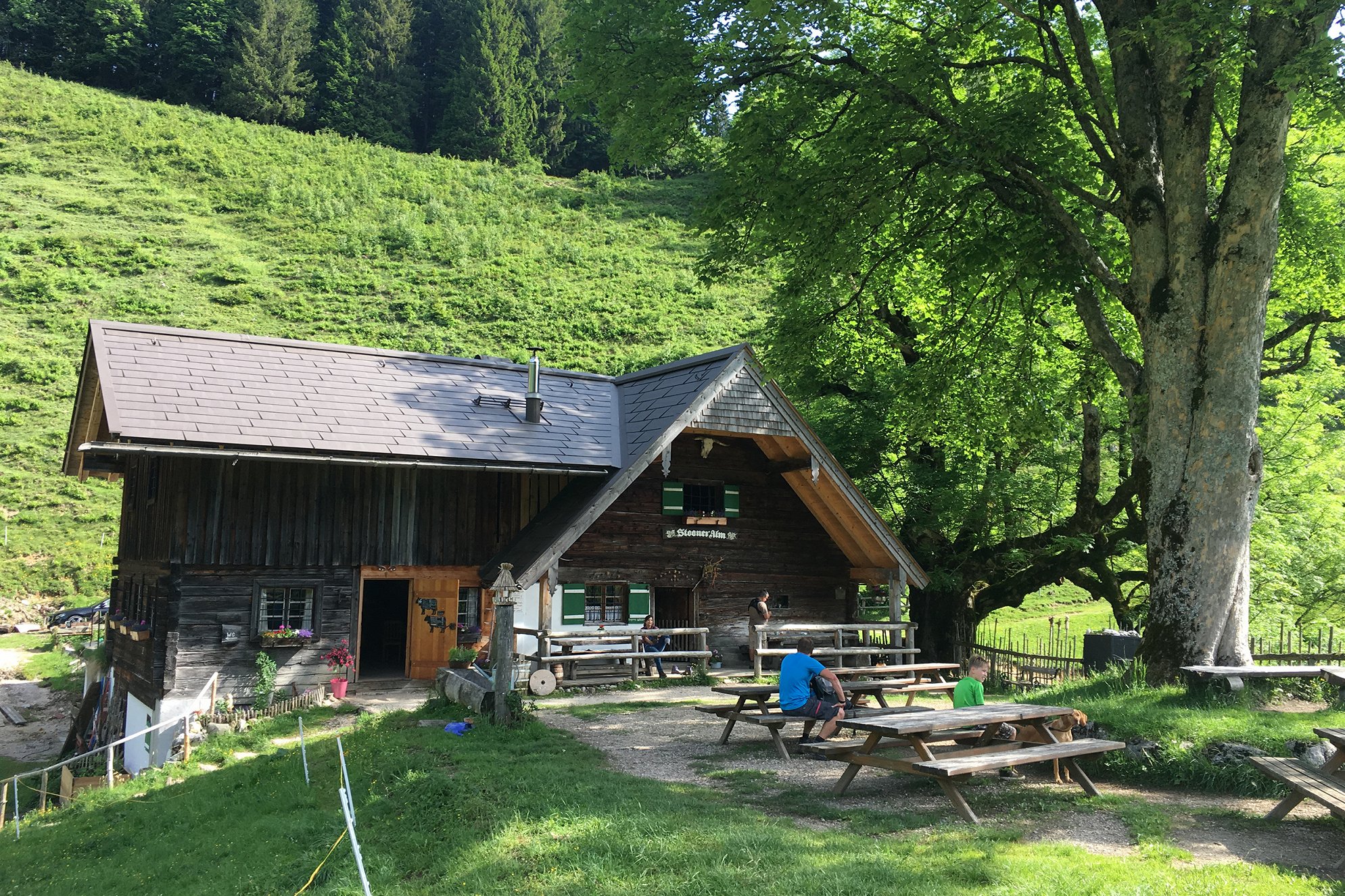 Anna auf der Alm (2018) ČSFD.cz