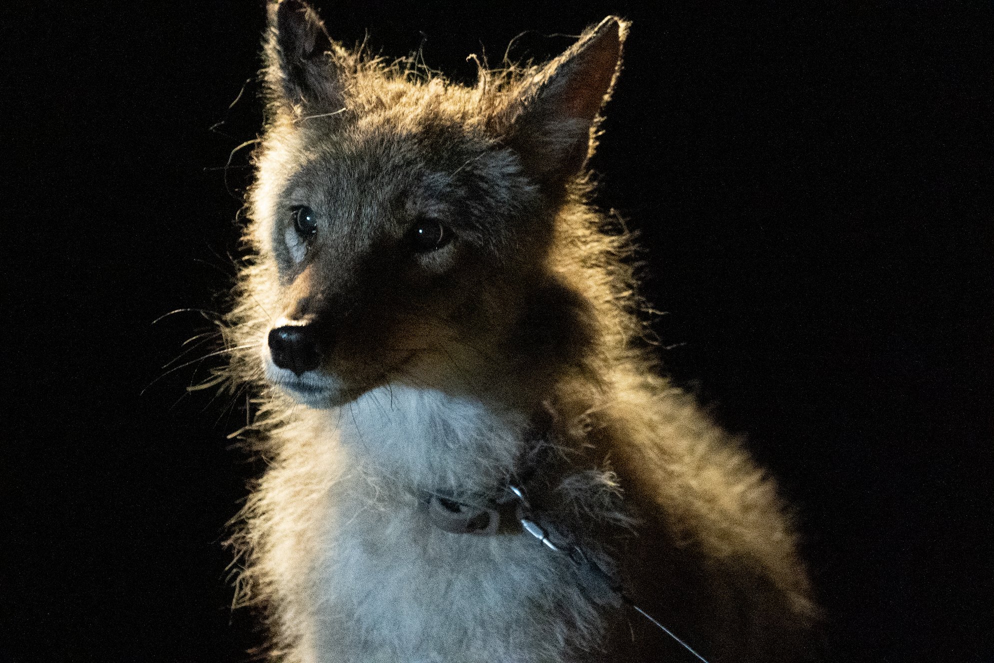 Chyťte ho! - Should Not Throw Stones - Z filmu