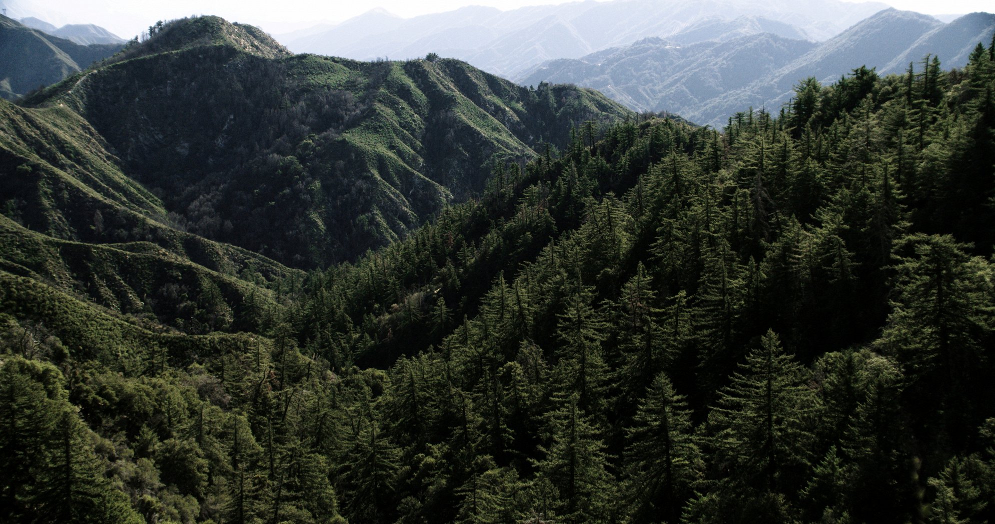 Feral (2017) Galerie Z filmu ČSFD.cz