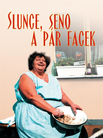 Slunce, seno a pár facek