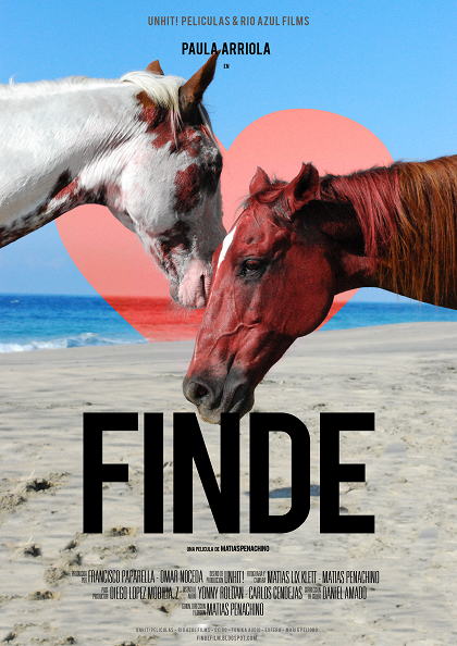 WHAT DOES FINDE MEAN visual data 7