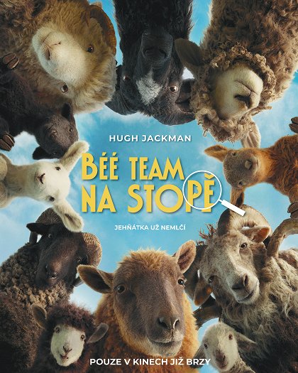 Béé team na stopě