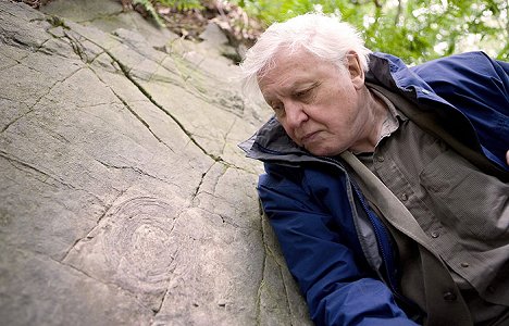 David Attenborough - Darwin - Z filmu