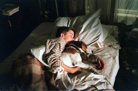 Frankie Muniz, Enzo the Dog - My Dog Skip - Photos