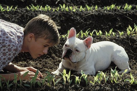 Haley Joel Osment - Secondhand Lions - Photos