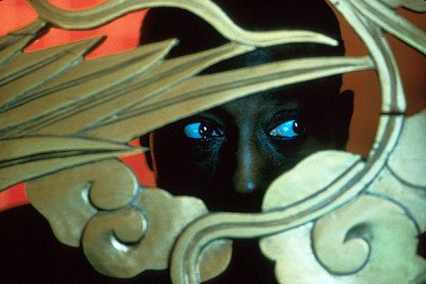Wesley Snipes - Umenie boja - Z filmu