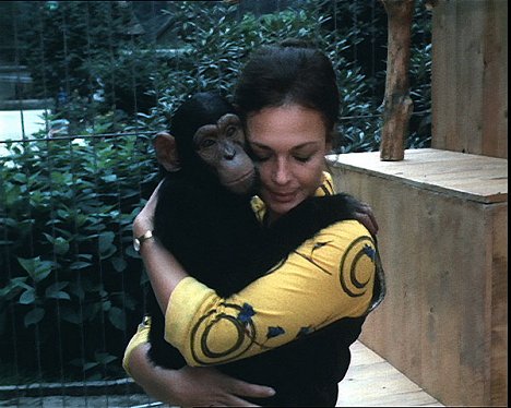 Tereza a majom, Jana Hlaváčová - Galiba az állatkertben - Filmfotók