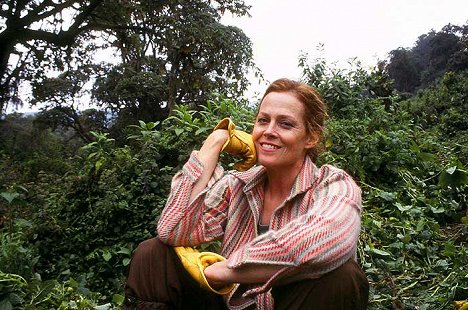 Sigourney Weaver - Sigourney Weaver mezi gorilami - Z filmu