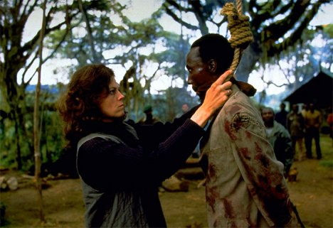 Sigourney Weaver - Sumuisten vuorten gorillat - Kuvat elokuvasta