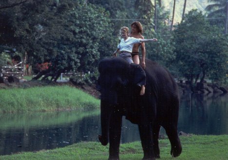 Leslie Mann, Brendan Fraser - George de la jungle - Film