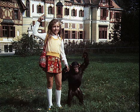 Katka Zatovičová, małpa Tereza - Robert i jego małpka - Z filmu