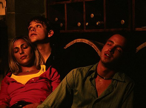 Summer Phoenix, Nick Stahl, Aaron Paul - Wasted - Do filme