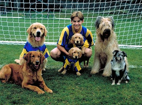 Kevin Zegers - Air Bud - futispennut - Kuvat elokuvasta