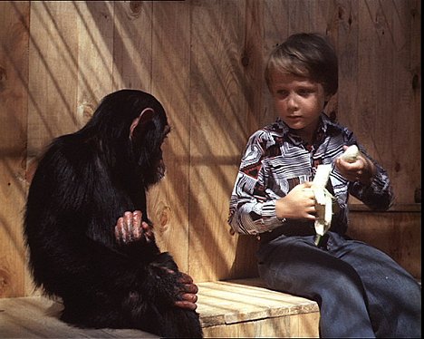 małpa Tereza, Norbert Judt - Robert i jego małpka - Z filmu