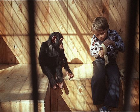 małpa Tereza, Norbert Judt - Robert i jego małpka - Z filmu