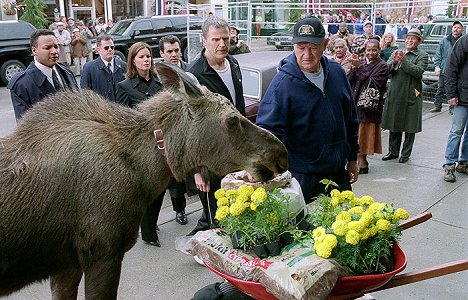 Marcia Gay Harden, Gene Hackman - Welcome to Mooseport - Filmfotók