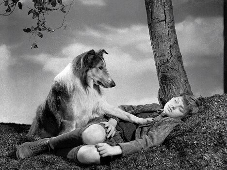 Pal, Roddy McDowall - Lassie palaa kotiin - Kuvat elokuvasta