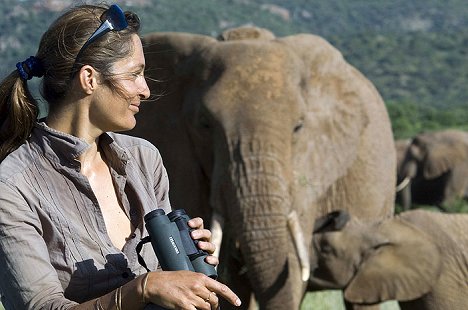 Saba Douglas-Hamilton - The Secret Life of Elephants - Filmfotos